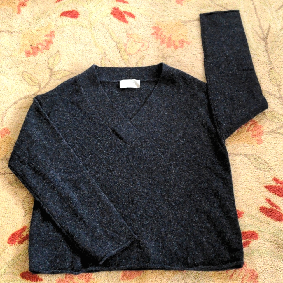 Everlane The Wool V-Neck Sweater